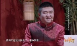 苗阜最新爆料贾冰,揭秘喜剧界幕后故事