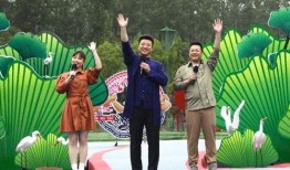 最新乐高爆料新闻视频下载,揭秘神秘新系列及独家视频抢先看