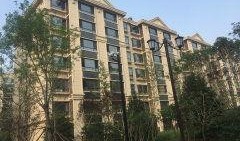 枫丹实景爆料最新消息新闻,揭秘神秘新区域与重大更新内容！