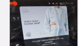 蔚来车主爆料视频最新,揭秘最新爆料视频中的惊人细节！”