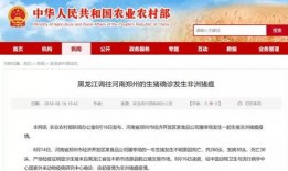 湖北农信社最新爆料消息,揭秘改革动向与未来发展蓝图