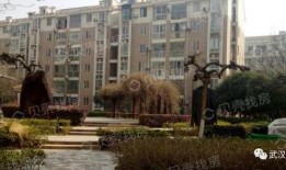 武汉小区最新爆料,揭秘神秘事件背后的真相