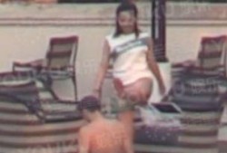 卓伟最新爆料白鹿视频在线观看,白鹿视频在线观看，揭秘幕后真相