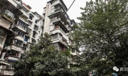 武汉小区最新爆料,揭秘神秘事件背后的真相