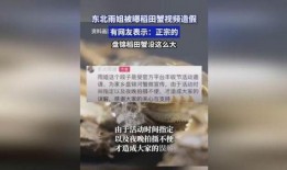 盘锦网友爆料视频最新版,揭秘事件真相