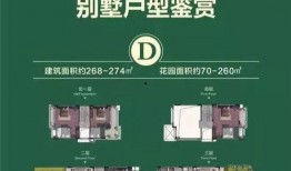 广州珠江爆料最新消息,突发事件引发关注，详情即将揭晓