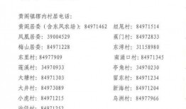 公平镇最新爆料新闻视频,视频揭露惊人真相，引网友热议