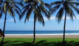 巴厘岛印尼人爆料视频最新,揭秘当地真实生活与旅游乱象